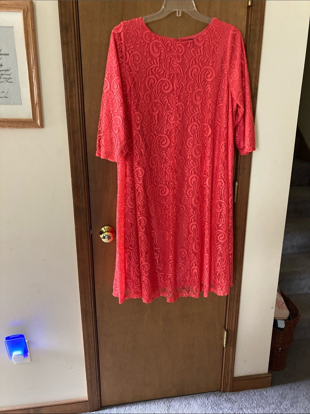 Women's Coral Lace A-Line Dress